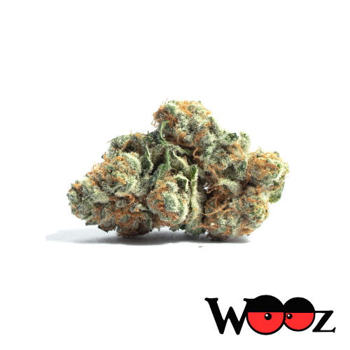 Bubblegum - Hybrid