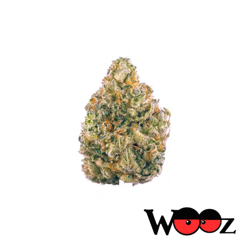 Bruce Banner - Hybrid