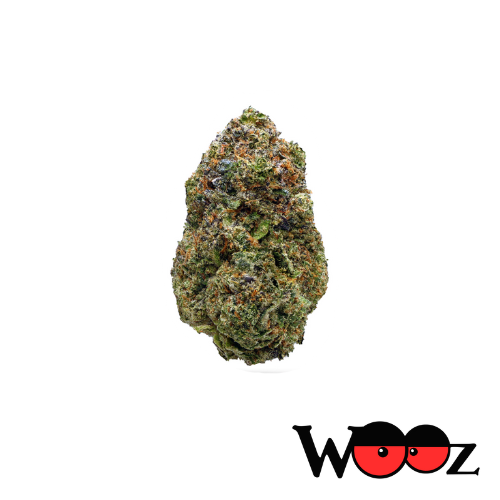 Rockstar Tuna - Indica