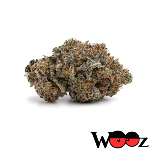 Pink Gas Mask - Indica