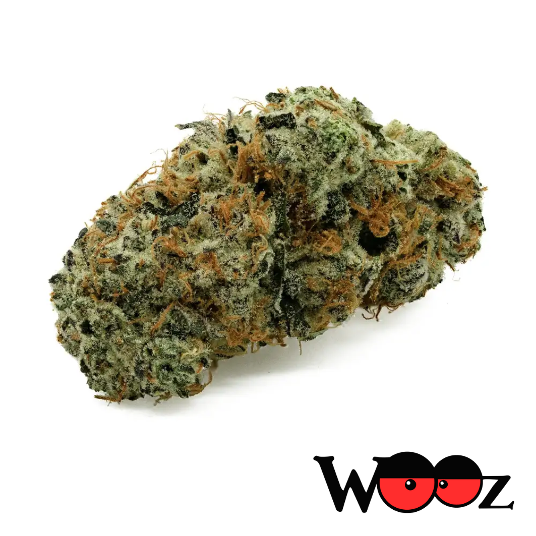 Silver Tooth - Sativa