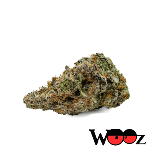 Truffle - Hybrid