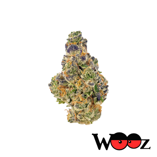 Pink Champagne - Indica